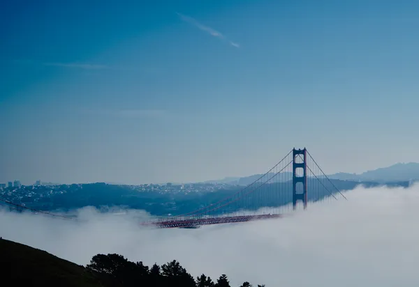Fog, Fun, and Philanthropy: Your San Francisco Saturday Briefing
