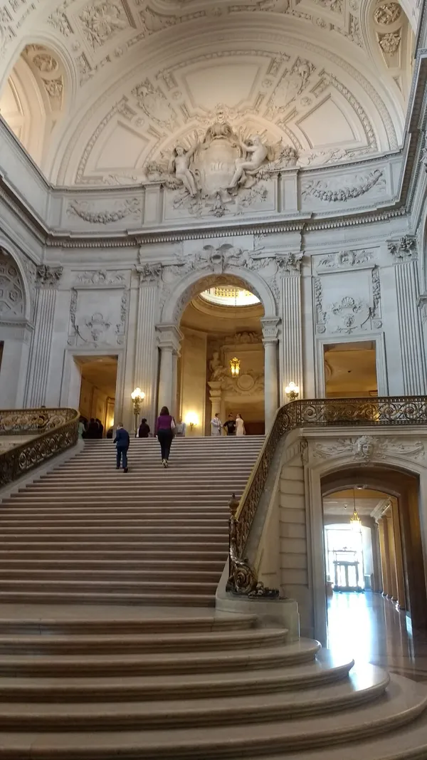 City Notices: Downtown Revitalization Hearing, Transit Alerts, and Health Advisories