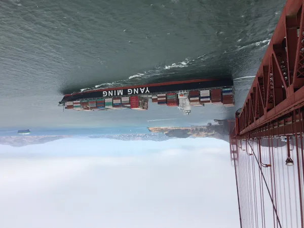 California moves to expand ship speed reductions, aiming to reduce whale strikes and emissions statewide