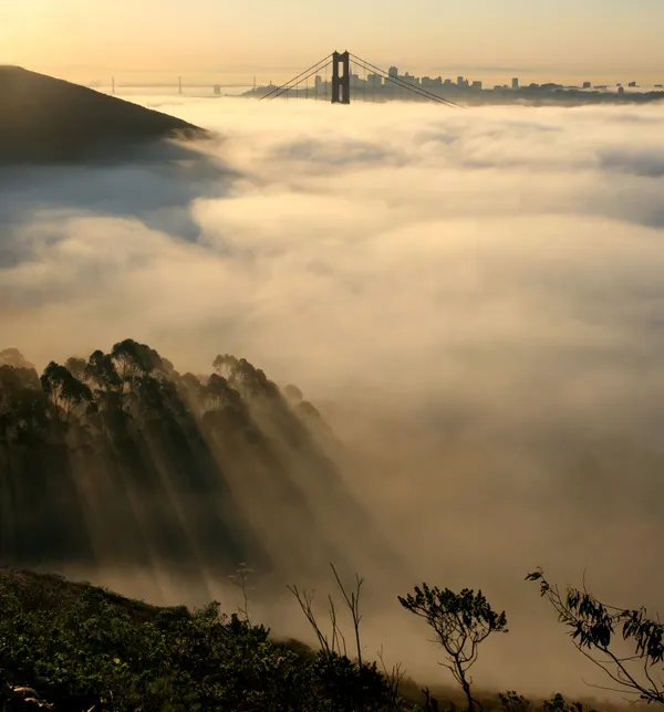 Fog and Fading Heat: San Francisco’s Friday Forecast Offers a Coastal Calm