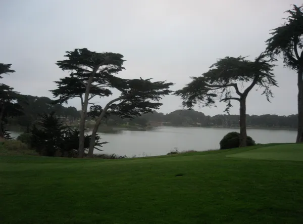 Live scoring begins as 2026 San Francisco City Golf Championship match play opens at Harding Park